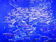 -成都浩海立方海洋公园