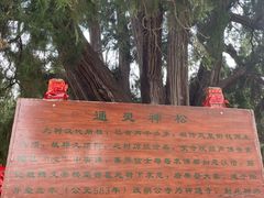 -四门塔风景区