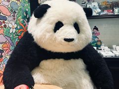 -轩客会(熊猫书店)