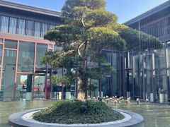 -上海崇明金茂凯悦酒店