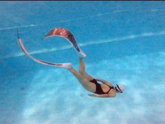 -上海潜殿潜水中心