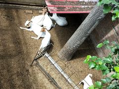 动物园-兴芮温泉度假区