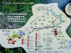 -野象谷景区