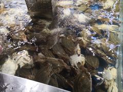-盒马鲜生(莱蒙都会店)