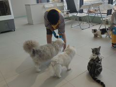 -怪兽屋·羊驼·猫咖·狗咖(俊华广场店)