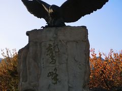 -北京鹫峰国家森林公园