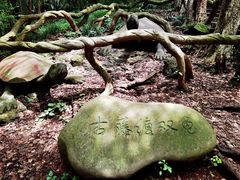 -赭山公园