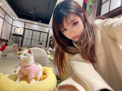-逗柴咖啡屋·狗咖猫咖宠物桌游