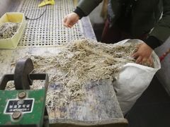 -中国宣纸文化园