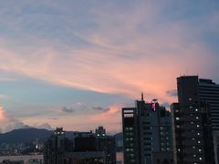 -香港大学