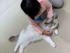 -藏猫猫咖啡主题馆(中央大道店)