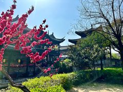 -台儿庄古城