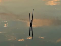 -美兰湖景区