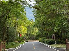 -广州市流溪河国家森林公园