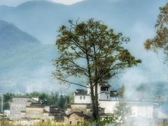 -塔川景区