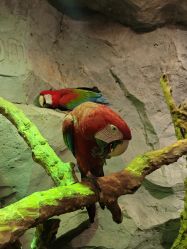 -Zoolung Zoolung动物主题公园(海信广场店)