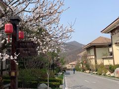 -金石唐风国际温泉会馆