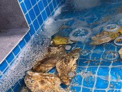 -良师门滨海人家·海鲜·家常菜(滨海城店)