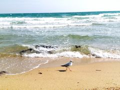 -海云台海滩