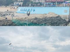 -黑石礁公园