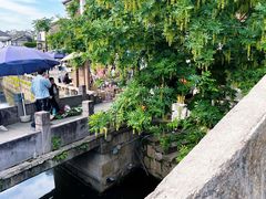 -鸣鹤古镇