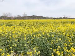-西海岸生态观光园