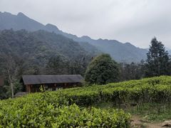 -姑婆山旅游区