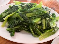 油麦菜-黄家菜园农庄
