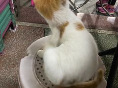 -镇记牛杂店(新豪里北店)