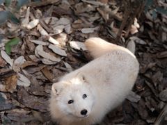 -云南野生动物园