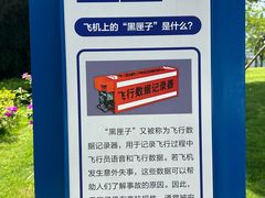 -成飞公园