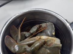-争先鲜·蒸汽海鲜自助·鲜切牛肉