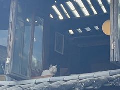 -田德能咖啡博物馆