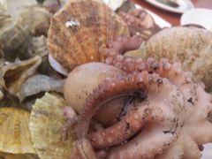 海鲜拼盘-四海鲜渔家菜(黄金海岸店)