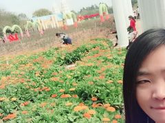 -松山湖梦幻百花洲