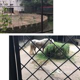 票价五折 开放时间：周一至周日