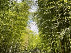 -良渚古城遗址公园