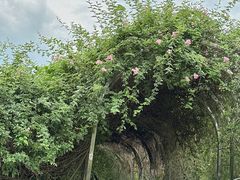 -人民公园(罗湖区)