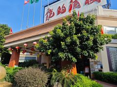 -龙的酒楼·手工早茶·顺德菜(近良路店)