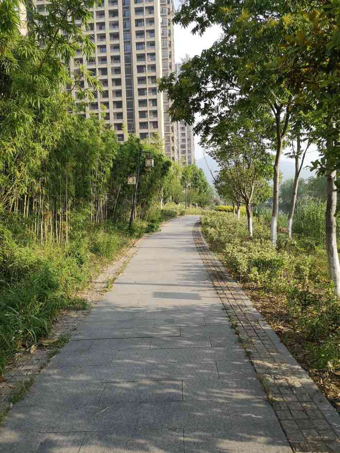 三义公园-"盛夏的到来,意味着夹竹桃占领了整个杭城."-大众点评移动版