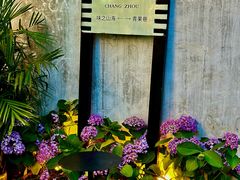 -青果巷历史文化街区