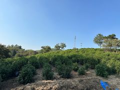 -翠茗农庄土菜馆(天目湖店)