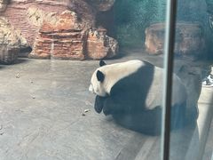 -石家庄市动物园