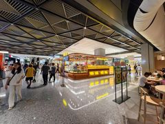 -东莞松山湖万象汇