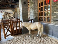 -巴倒烫陆派火锅山庄(南山总店)