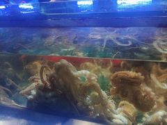 -V-ONE西雅图海鲜自助餐厅(仓山万达广场店)