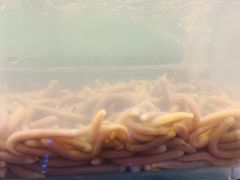 -越百海海鲜蒸锅(乐山店)