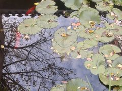 -观唐（国际）度假村温泉