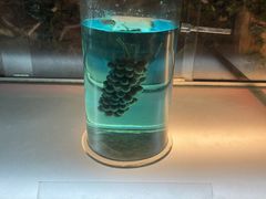 -青岛葡萄酒博物馆