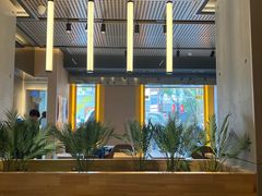 -麦当劳(温州人民路店)